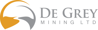De Grey primary logo